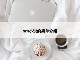 sm小说的简单介绍