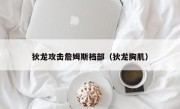 狄龙攻击詹姆斯裆部（狄龙胸肌）