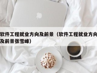 软件工程就业方向及前景（软件工程就业方向及前景张雪峰）