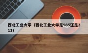 西北工业大学（西北工业大学是985还是211）