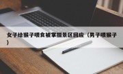 女子给猴子喂食被掌掴景区回应（男子喂猴子）