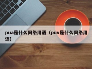 pua是什么网络用语（puv是什么网络用语）