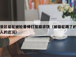 景区骆驼被轮番棒打屈膝求饶（被骆驼踢了的人的近况）