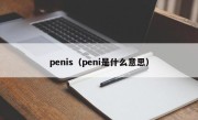 penis（peni是什么意思）