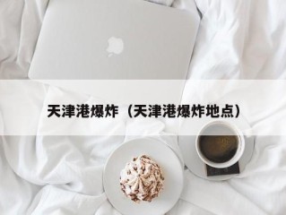 天津港爆炸（天津港爆炸地点）