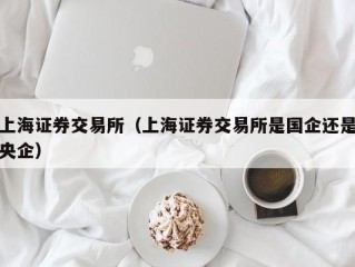 上海证券交易所（上海证券交易所是国企还是央企）