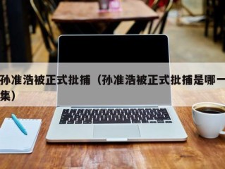 孙准浩被正式批捕（孙准浩被正式批捕是哪一集）