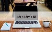 北宋（北宋小丫鬟）