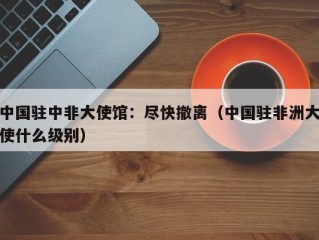 中国驻中非大使馆：尽快撤离（中国驻非洲大使什么级别）