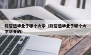 陈哲远毕业于哪个大学（陈哲远毕业于哪个大学毕业的）