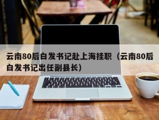 云南80后白发书记赴上海挂职（云南80后白发书记出任副县长）