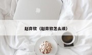 赵弈钦（赵弈钦怎么读）