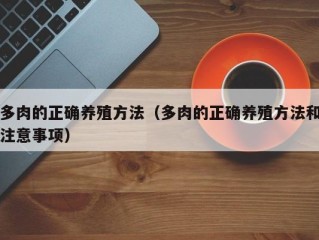 多肉的正确养殖方法（多肉的正确养殖方法和注意事项）