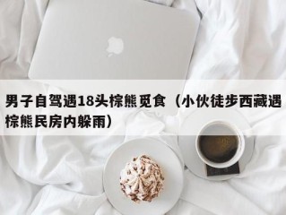 男子自驾遇18头棕熊觅食（小伙徒步西藏遇棕熊民房内躲雨）