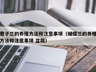 君子兰的养殖方法和注意事项（蝴蝶兰的养殖方法和注意事项 盆栽）