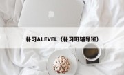 补习ALEVEL（补习班辅导班）