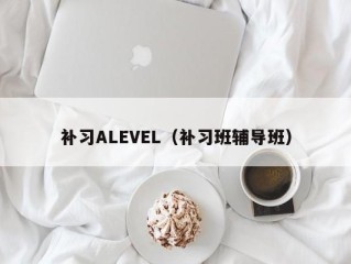 补习ALEVEL（补习班辅导班）