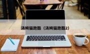 汤姆猫跑酷（汤姆猫跑酷2）