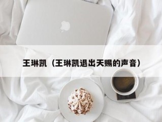 王琳凯（王琳凯退出天赐的声音）