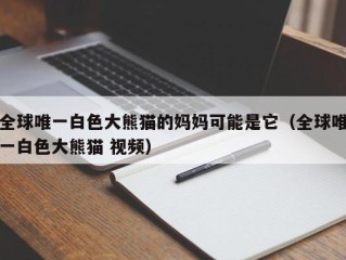 全球唯一白色大熊猫的妈妈可能是它（全球唯一白色大熊猫 视频）