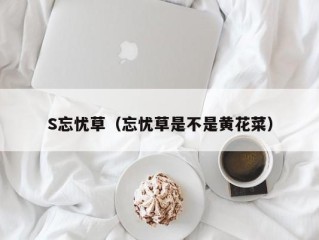 S忘忧草（忘忧草是不是黄花菜）