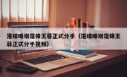 港媒曝谢霆锋王菲正式分手（港媒曝谢霆锋王菲正式分手视频）