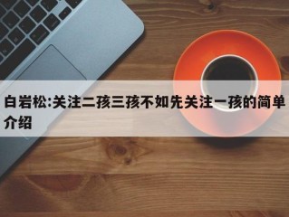 白岩松:关注二孩三孩不如先关注一孩的简单介绍