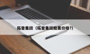 拓普集团（拓普集团股票价格?）