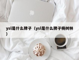 ysl是什么牌子（ysl是什么牌子杨树林）