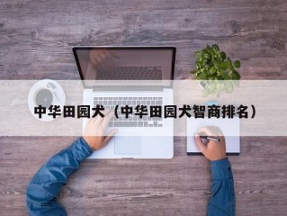 中华田园犬（中华田园犬智商排名）