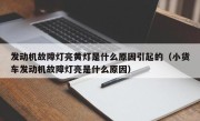 发动机故障灯亮黄灯是什么原因引起的（小货车发动机故障灯亮是什么原因）
