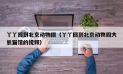 丫丫回到北京动物园（丫丫回到北京动物园大熊猫馆的视频）