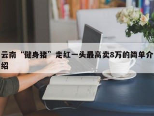 云南“健身猪”走红一头最高卖8万的简单介绍