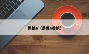 黑桃a（黑桃a香槟）