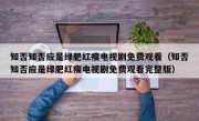 知否知否应是绿肥红瘦电视剧免费观看（知否知否应是绿肥红瘦电视剧免费观看完整版）