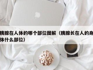 胰腺在人体的哪个部位图解（胰腺长在人的身体什么部位）