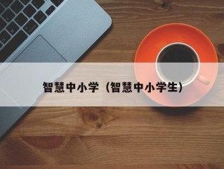智慧中小学（智慧中小学生）