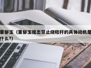 董郁玉（董郁玉提出禁止烧秸秆的具体动机是什么?）