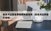 青青河边草免费视频观看视频（青青河边草图片视频）