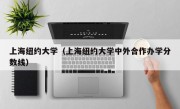 上海纽约大学（上海纽约大学中外合作办学分数线）