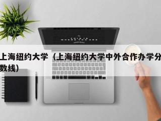 上海纽约大学（上海纽约大学中外合作办学分数线）