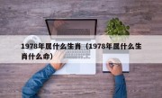 1978年属什么生肖（1978年属什么生肖什么命）