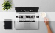 乌梢蛇（乌梢蛇幼体）