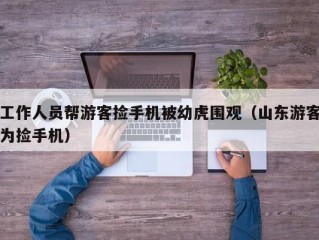 工作人员帮游客捡手机被幼虎围观（山东游客为捡手机）