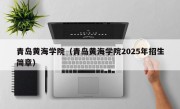 青岛黄海学院（青岛黄海学院2025年招生简章）