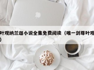 叶观纳兰迦小说全集免费阅读（唯一剑尊叶观）