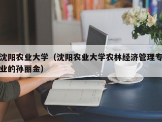 沈阳农业大学（沈阳农业大学农林经济管理专业的孙丽金）