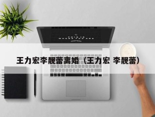 王力宏李靓蕾离婚（王力宏 李靓蕾）