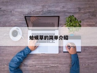 蛤蟆草的简单介绍