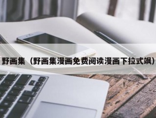 野画集（野画集漫画免费阅读漫画下拉式飒）
